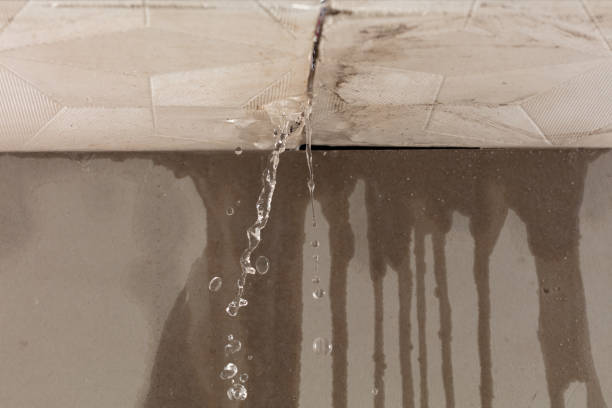 Professional Water Damage Repair technician working in Lula, GA